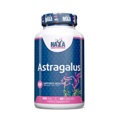 Astragalus 500 mg 60 Capsules